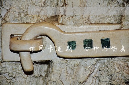 信用卡逾期 各种网贷套路